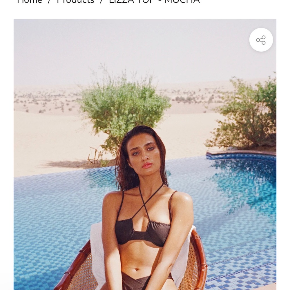 NWT JANTHEE Berlin Bikini Convertible Lizza Top Bronze